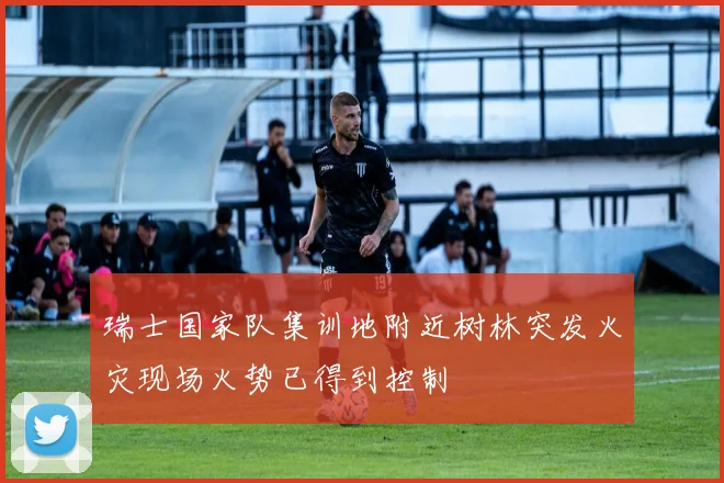 瑞士国家队集训地附近树林突发火灾现场火势已得到控制