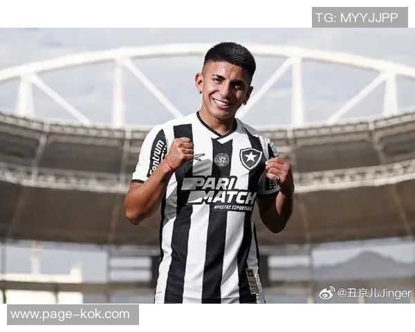 博塔弗戈因拖欠阿尔马达转会费遭禁转会处罚及利息问题引发关注